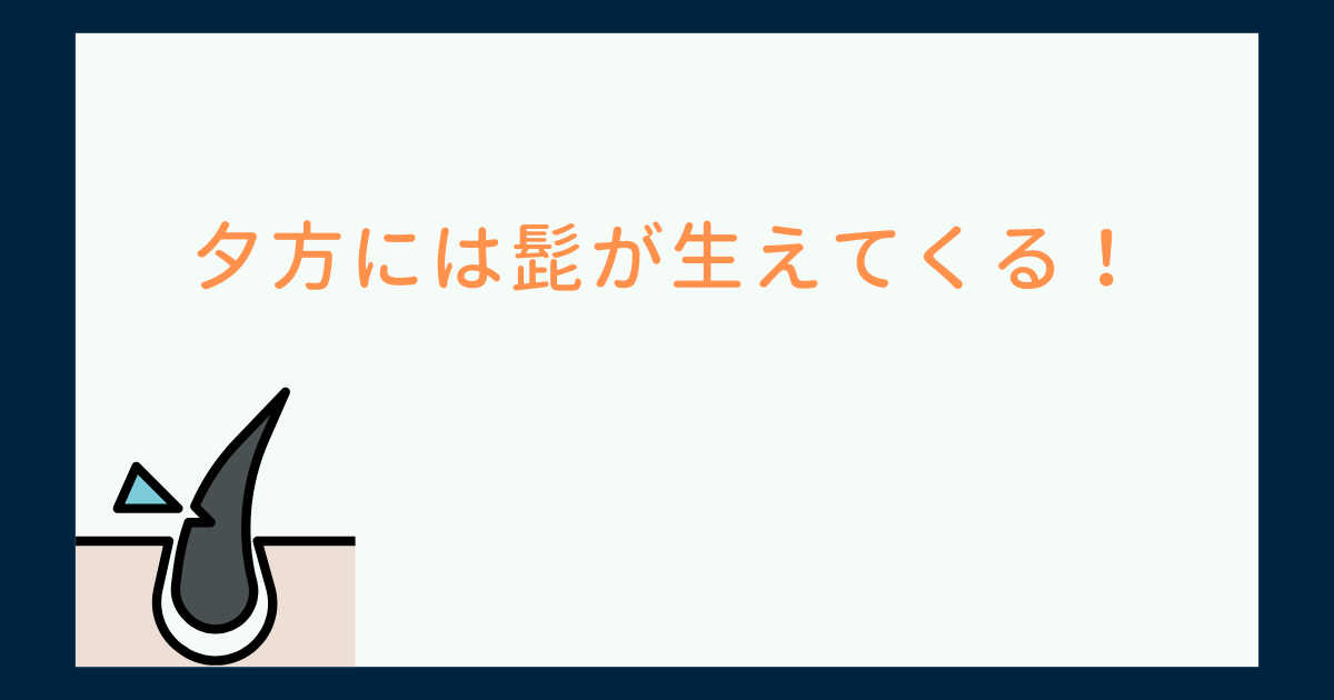 夕方には髭が生えてくる