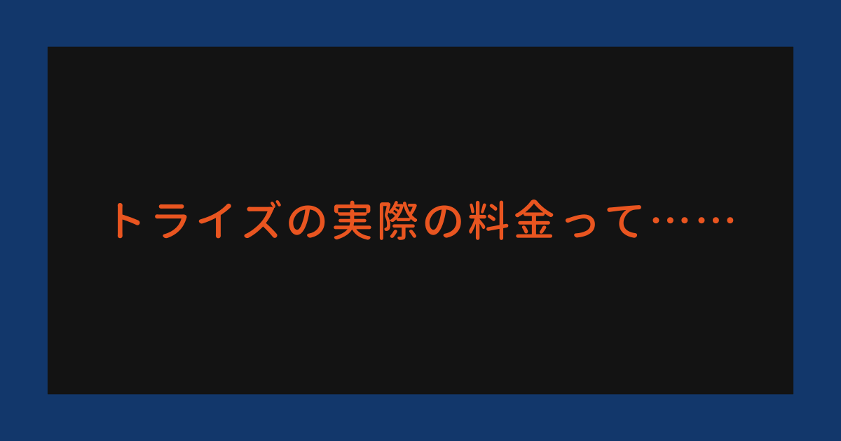 トライズの料金はホームページ上に書いてあるのと同じか