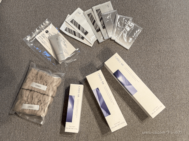 オルビスミスター定期セットの中身