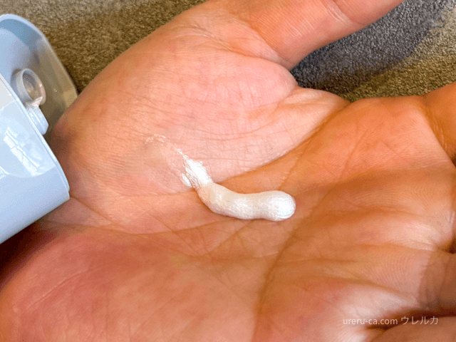 オルビスミスターフォーミングウォッシュ（洗顔フォーム）を手に取ったところ